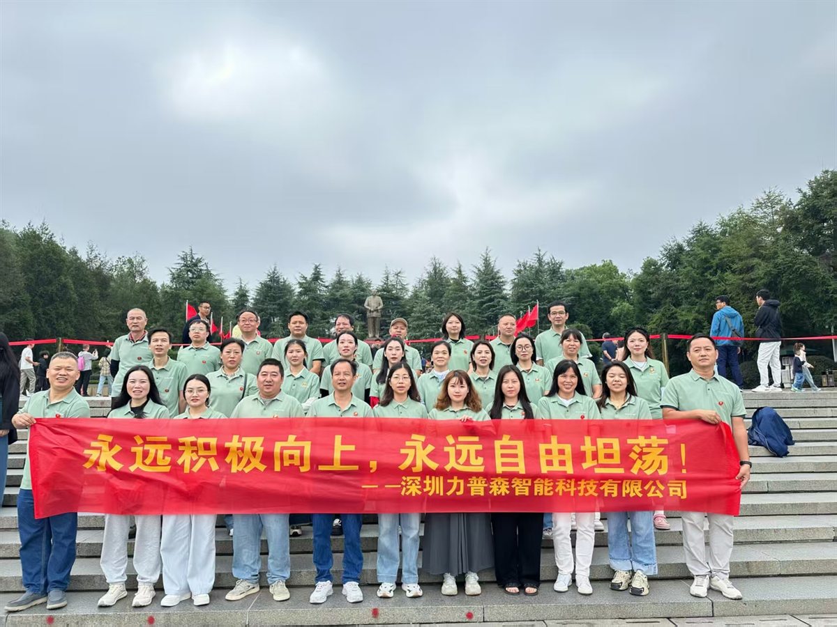 Sipolar team activity photo 01